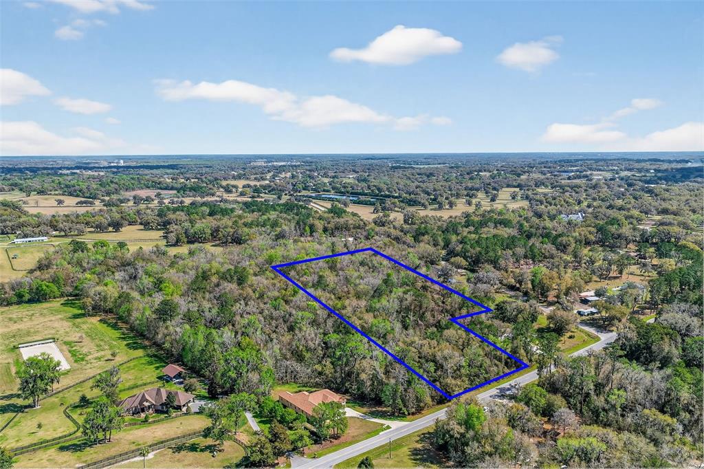 An aerial view shows a wooded, rectangular plot of land outlined in blue near a road — TBD NW HWY 225A, REDDICK, FL