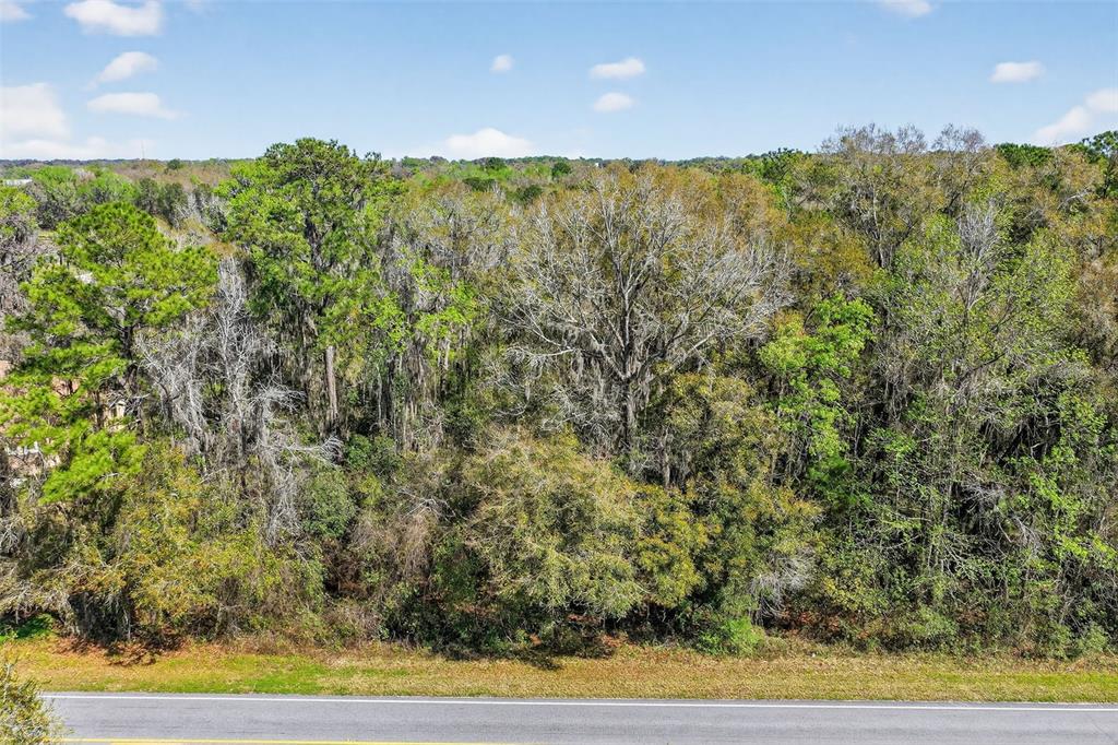 A dense forest of trees stands behind a paved road under a blue sky — TBD NW HWY 225A, REDDICK, FL