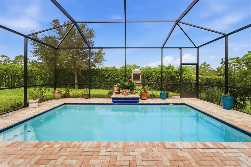 A screened-in swimming pool with a brick paver deck and a small tiled water feature — 1800 N ROSE HUE PATH, HERNANDO, FL