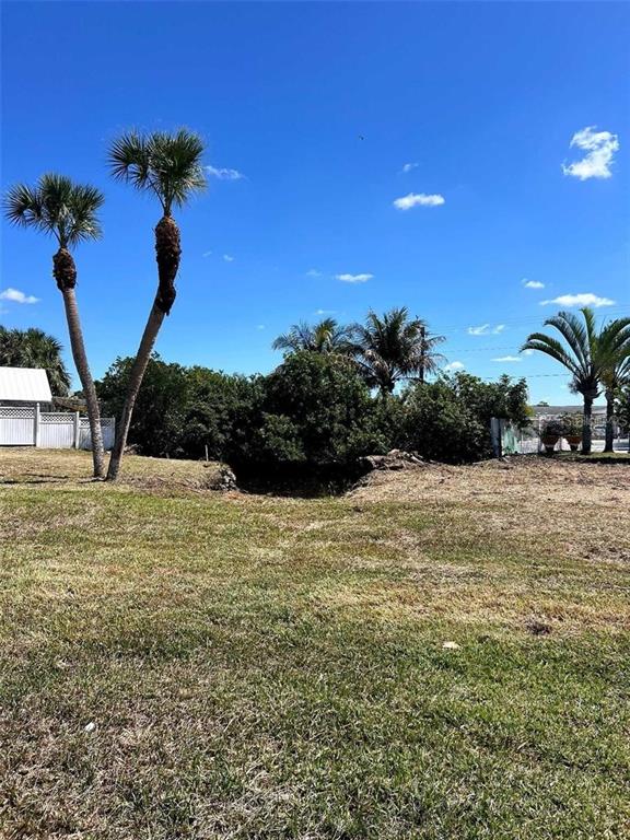 A grassy lot features several palm trees under a clear blue sky — ROSE STREET, VENICE, FL