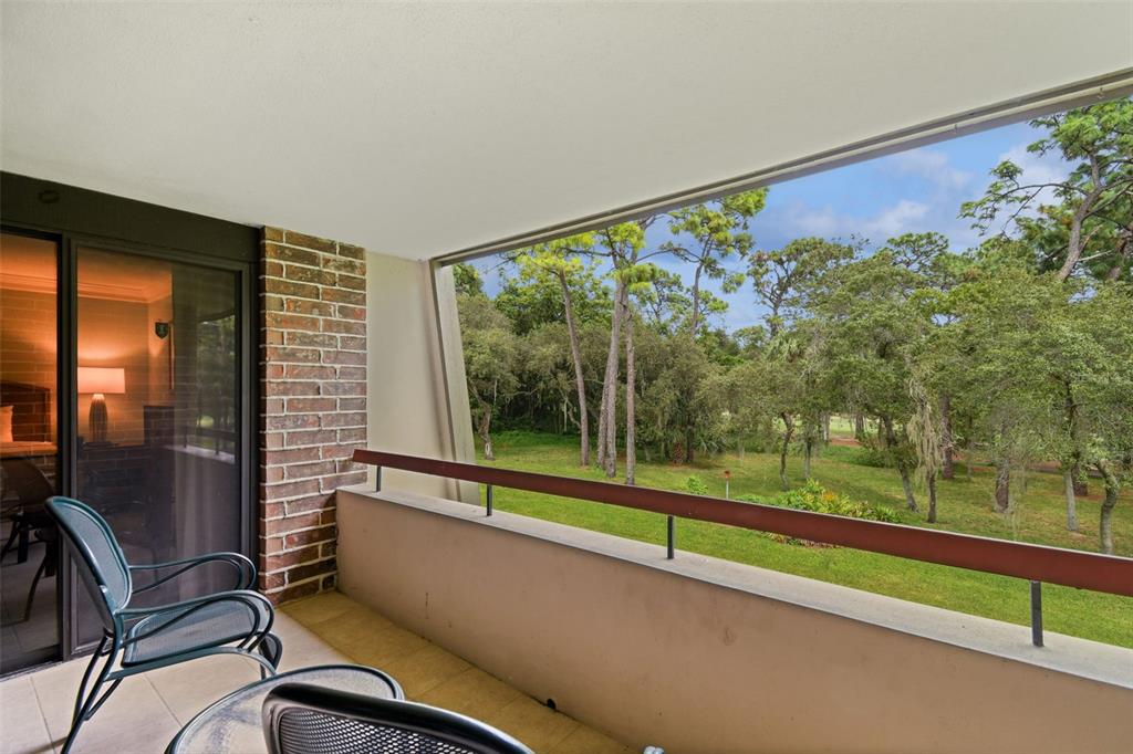 36750 US HIGHWAY 19 UNIT 24211, PALM HARBOR, FL — photo 2 of 61