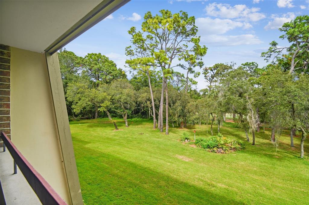 36750 US HIGHWAY 19 UNIT 24211, PALM HARBOR, FL — photo 5 of 61