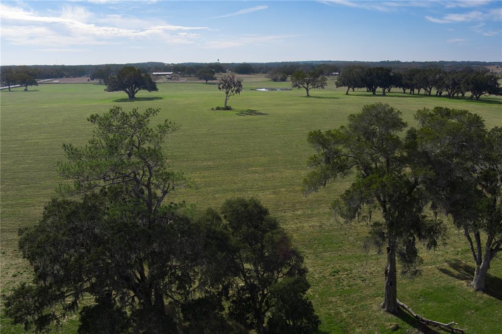 An aerial view shows a large, grassy pasture dotted with several mature oak trees — TBD NW GAINESVILLE ROAD, REDDICK, FL