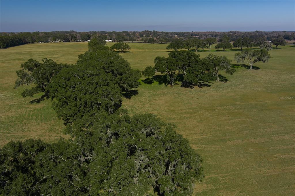 An aerial view of a large, grassy pasture dotted with several clusters of oak trees — TBD NW GAINESVILLE ROAD, REDDICK, FL