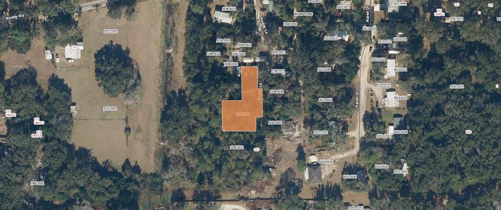 This aerial map shows a highlighted residential property lot located along a wooded road — 115 RODDY LANE, PALATKA, FL