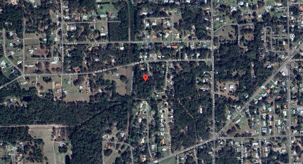 This is an aerial map view showing a wooded lot marked with a red pin — 115 RODDY LANE, PALATKA, FL