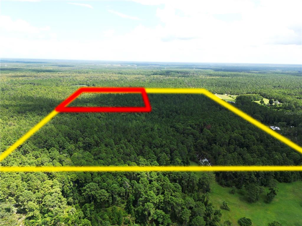 An aerial view shows a large, forested plot of land outlined with yellow and red borders — 2220 OLD TRAIN ROAD, DELTONA, FL