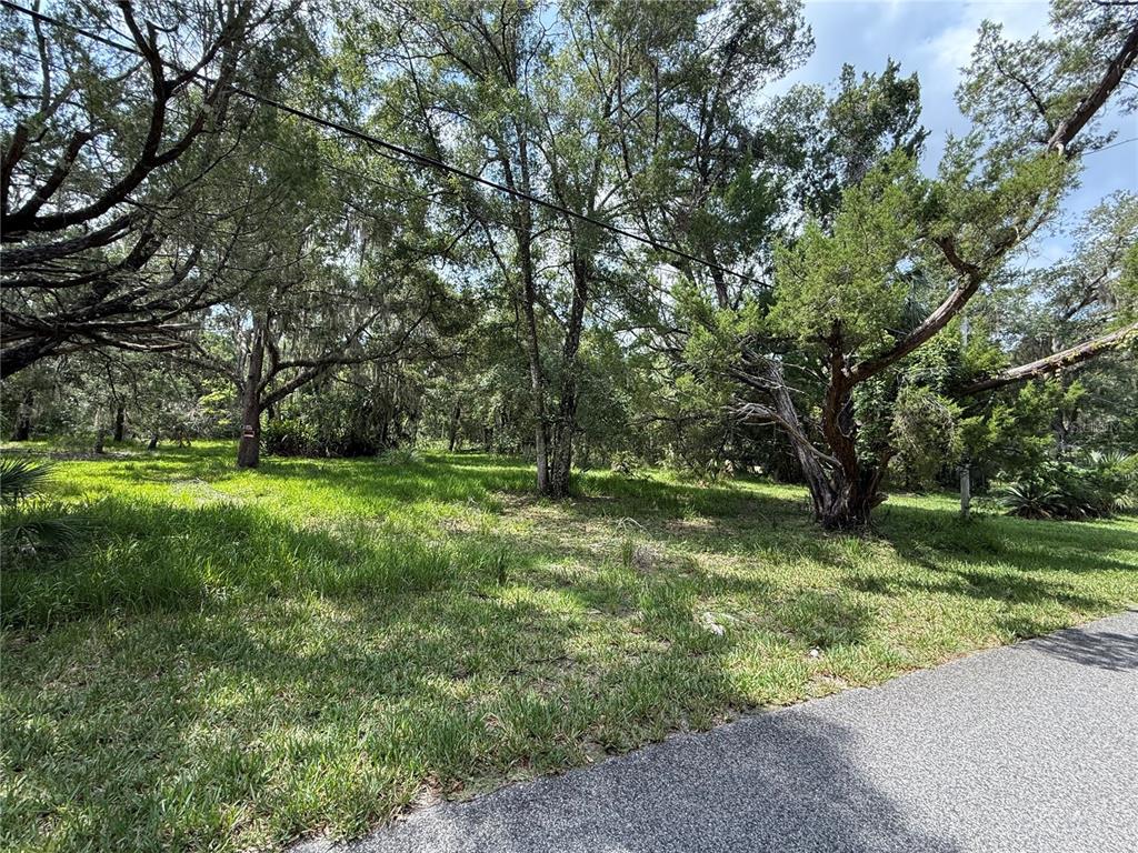 A grassy, wooded lot sits adjacent to an asphalt road under a bright sky — 11990 W ELDRED LANE, HOMOSASSA, FL