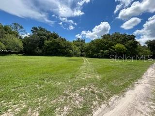 A grassy, open lot is bordered by a line of trees under a blue sky — NE FOURTH STREET, WEBSTER, FL