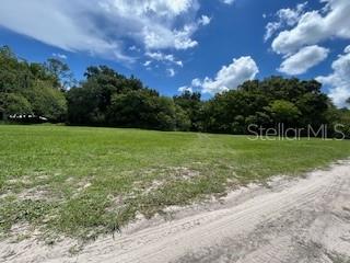 A grassy, vacant lot is bordered by trees under a blue sky with clouds — NE FOURTH STREET, WEBSTER, FL