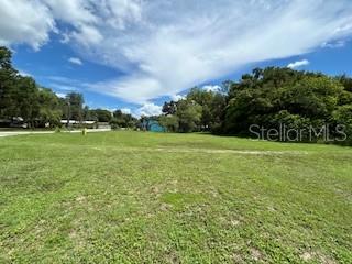 A wide, grassy vacant lot is surrounded by trees under a blue sky with clouds — NE FOURTH STREET, WEBSTER, FL