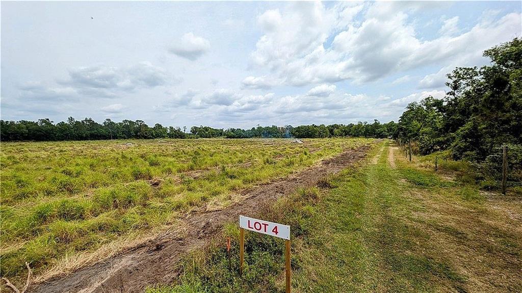 A sign labeled Lot 4 stands in a grassy, partially cleared field under a cloudy sky — KEENTOWN ROAD, PARRISH, FL