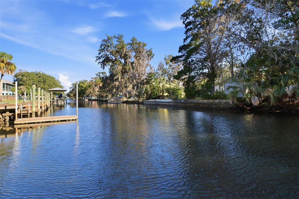 A canal view featuring a wooden dock, lush trees, and a clear blue sky — 3619 N SUWANNEE POINT, CRYSTAL RIVER, FL