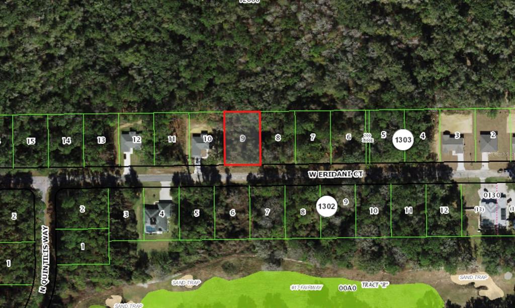 325 W ERIDANI COURT, CITRUS SPRINGS, FL — photo 2 of 3