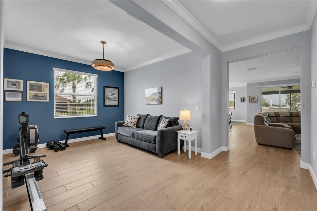 A living room with a blue accent wall, a rowing machine, and a gray sofa — 17253 STAR BANKS STREET, WIMAUMA, FL