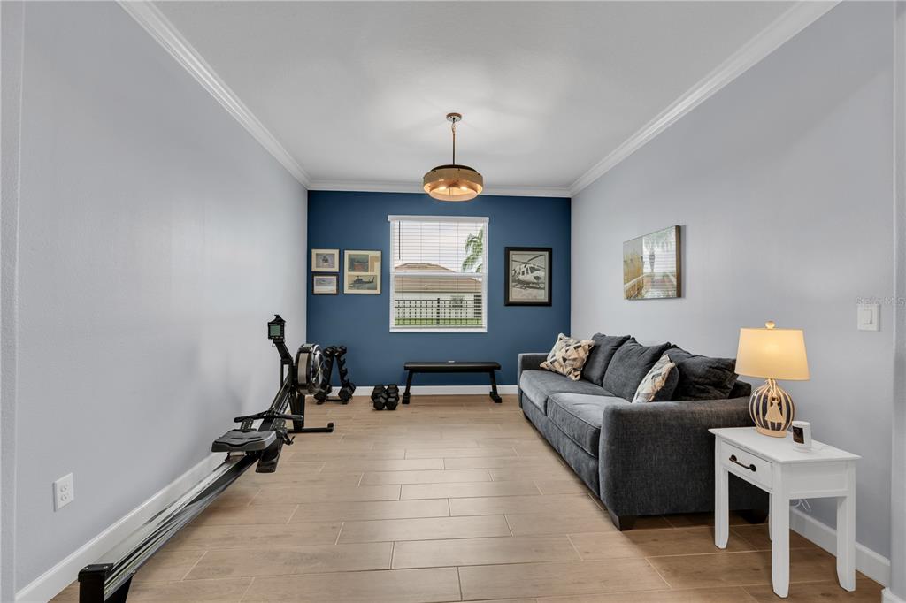 A home gym and lounge area features a rowing machine, sofa, and blue accent wall — 17253 STAR BANKS STREET, WIMAUMA, FL
