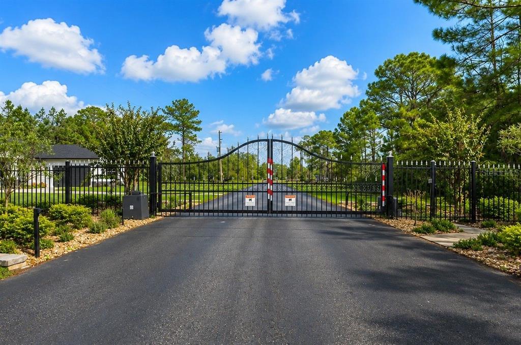 A black metal gate stands at the entrance of a paved driveway surrounded by trees — 8541 WOODLEAF BOULEVARD, WESLEY CHAPEL, FL
