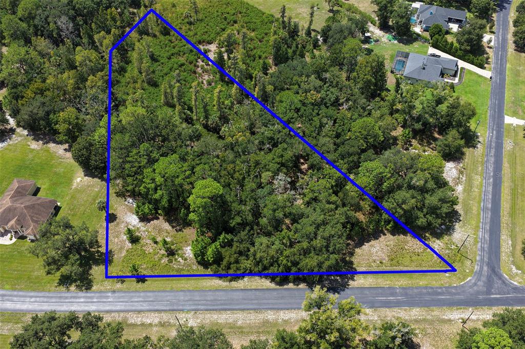 An aerial view shows a triangular, wooded vacant lot bordered by two paved roads — 8541 WOODLEAF BOULEVARD, WESLEY CHAPEL, FL