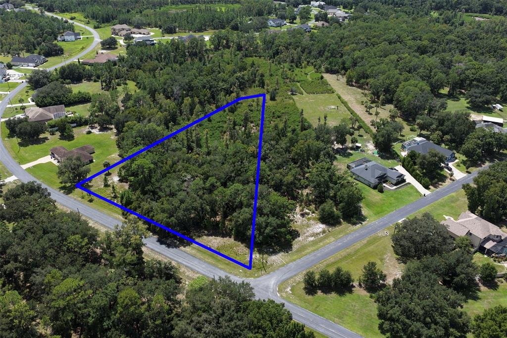 An aerial view shows a triangular, wooded vacant lot bordered by two paved roads — 8541 WOODLEAF BOULEVARD, WESLEY CHAPEL, FL