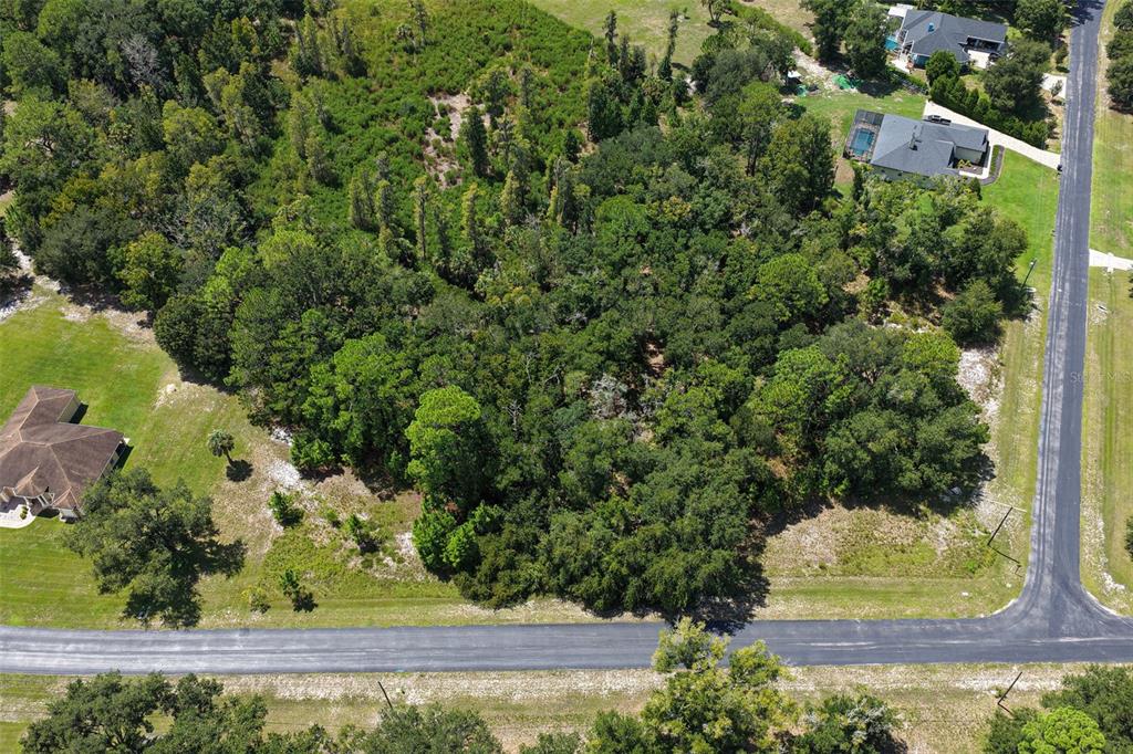 An aerial view shows a wooded residential lot situated between two paved roads and houses — 8541 WOODLEAF BOULEVARD, WESLEY CHAPEL, FL