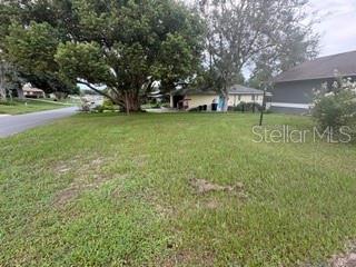 A grassy residential lot features a large tree and a house in the background — 216 W GOLDENTUFT COURT, BEVERLY HILLS, FL