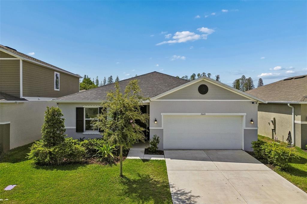 A single-story house with a gray stucco exterior, a two-car garage, and a front lawn — 20121 AZUL MARBLE LOOP, LAND O LAKES, FL