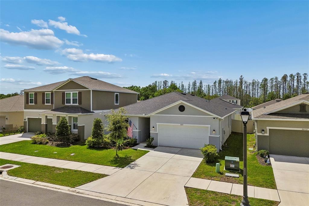 An exterior view of three suburban houses with driveways, lawns, and a street lamp — 20121 AZUL MARBLE LOOP, LAND O LAKES, FL