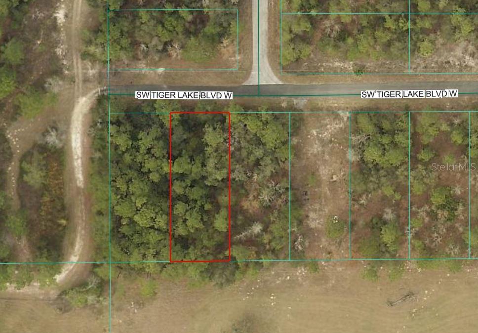 This is an aerial map showing a rectangular wooded lot outlined in red — 0 SW TIGER LAKE BOULEVARD, DUNNELLON, FL