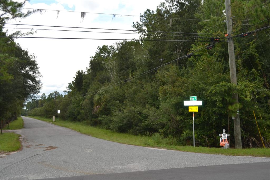 DEEN STILL ROAD W, POLK CITY, FL — photo 2 of 8
