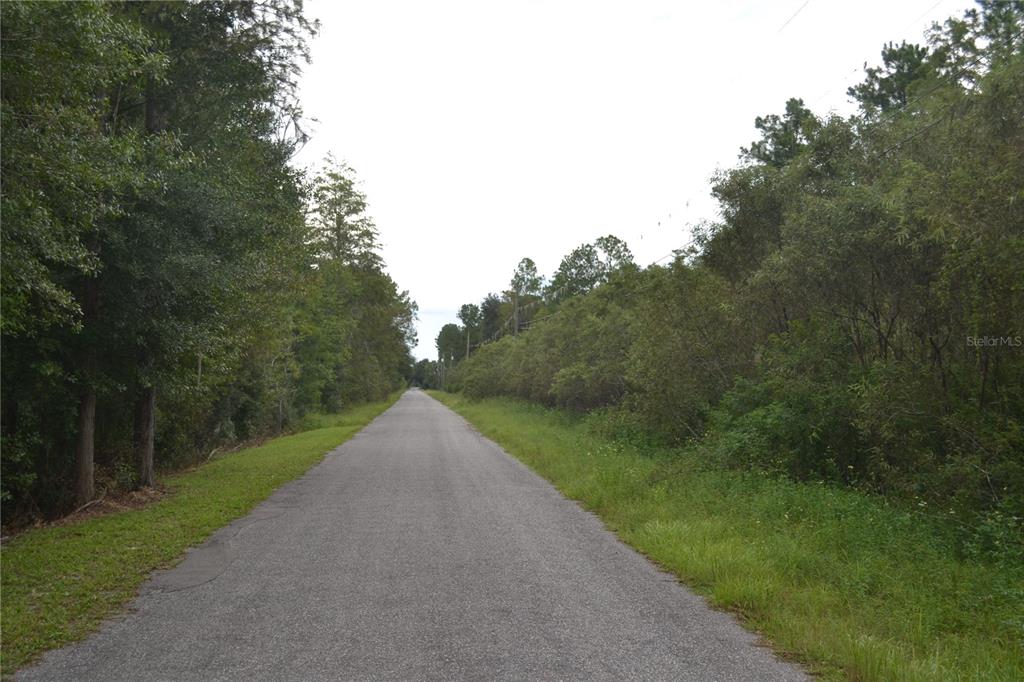 DEEN STILL ROAD W, POLK CITY, FL — photo 3 of 8