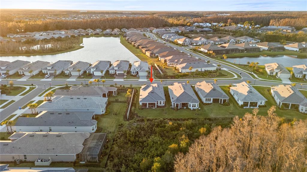 An aerial view of a community swimming pool and multiple tennis courts surrounded by landscaping — 4618 ISONZO WAY, WESLEY CHAPEL, FL