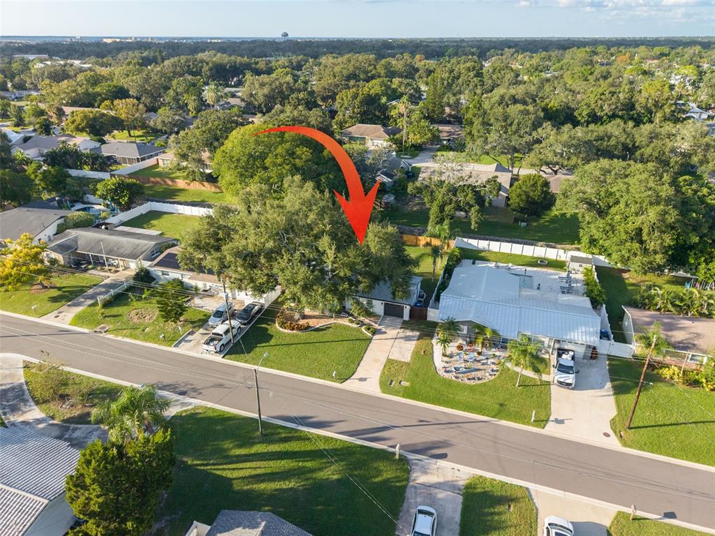 2020 VALLEY DRIVE, DUNEDIN, FL — photo 3 of 35