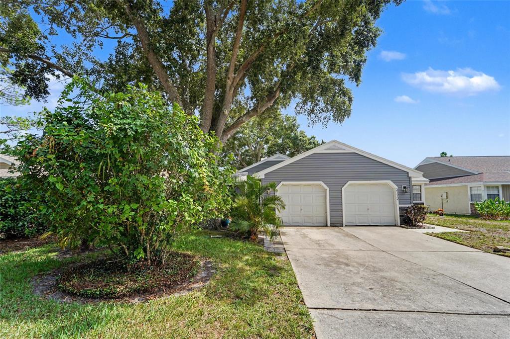 3174 PHLOX DRIVE
