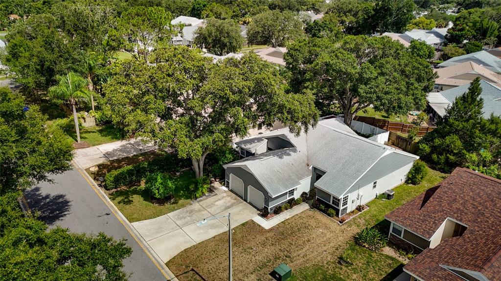 An aerial view shows a single-story house with a gray roof and a concrete driveway — 3174 PHLOX DRIVE, PALM HARBOR, FL