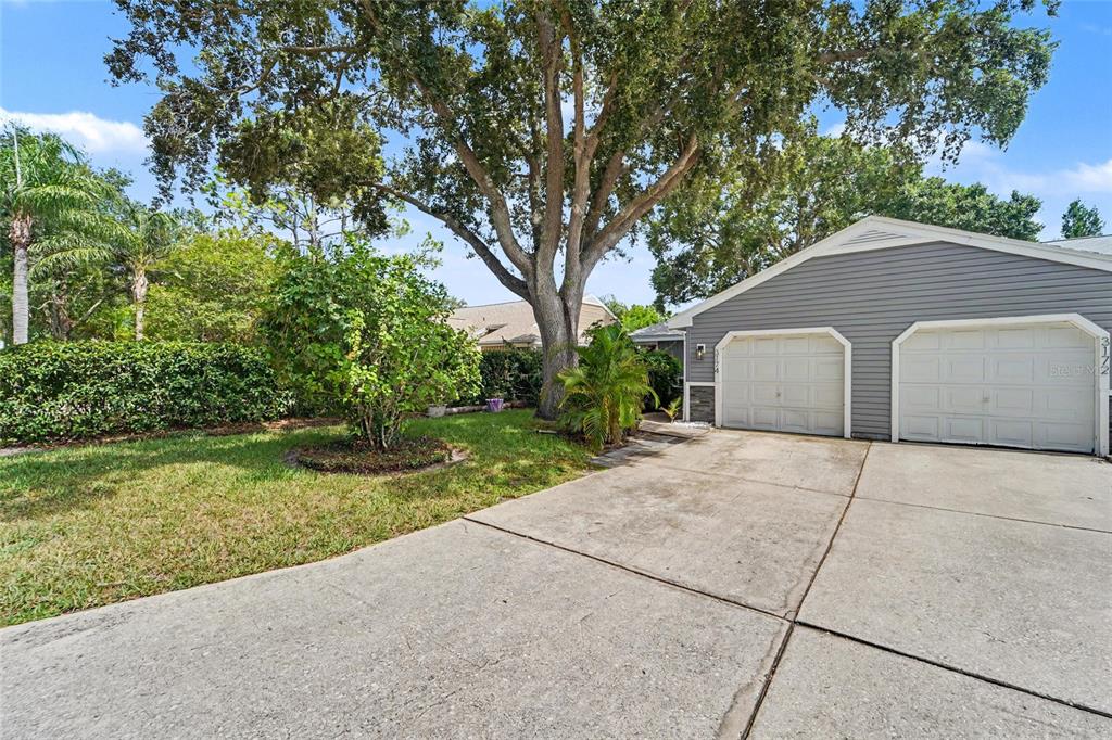 A concrete driveway leads to a two-car garage beside a tree-filled front yard — 3174 PHLOX DRIVE, PALM HARBOR, FL