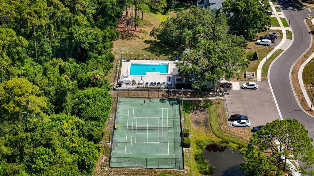 An aerial view of a community swimming pool and a tennis court surrounded by trees — 3174 PHLOX DRIVE, PALM HARBOR, FL