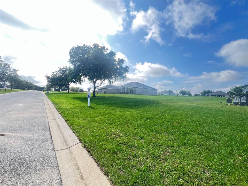 A concrete driveway leads to a single-story house with a garage and a large tree — 37298 HIDDEN VIEW CIRCLE, DADE CITY, FL