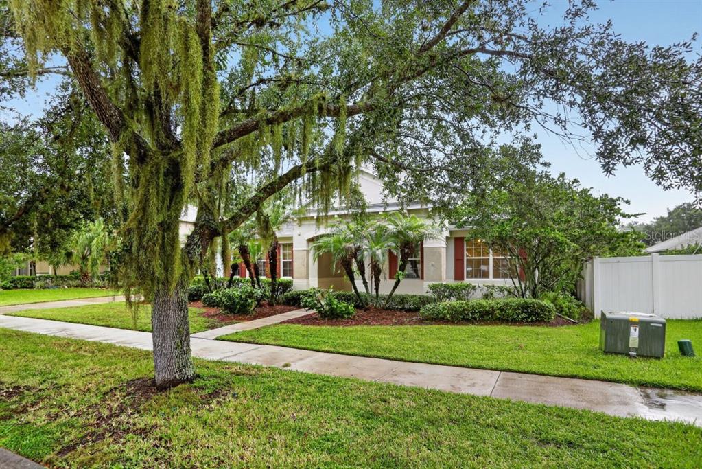 A single-story house with a lawn, a large tree with moss, and a concrete walkway — 3730 CEDAR HAMMOCK TRAIL, ST CLOUD, FL