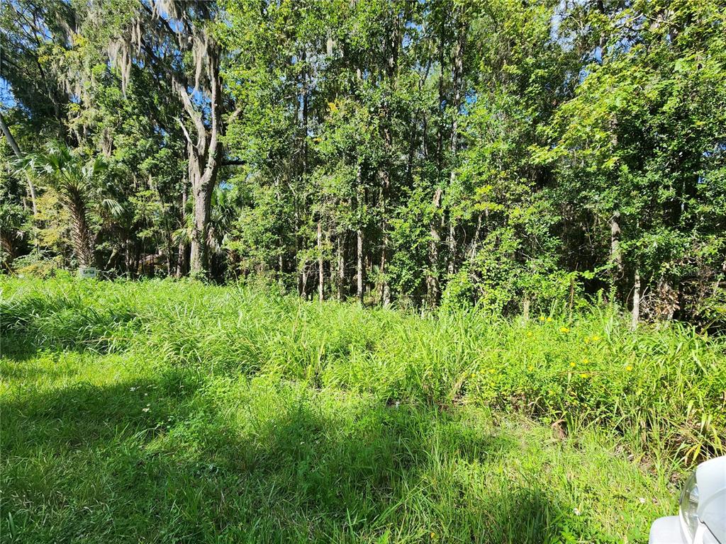 00 COUNTY ROAD 329, MICANOPY, FL — photo 2 of 6