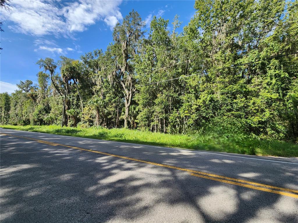 00 COUNTY ROAD 329, MICANOPY, FL — photo 3 of 6