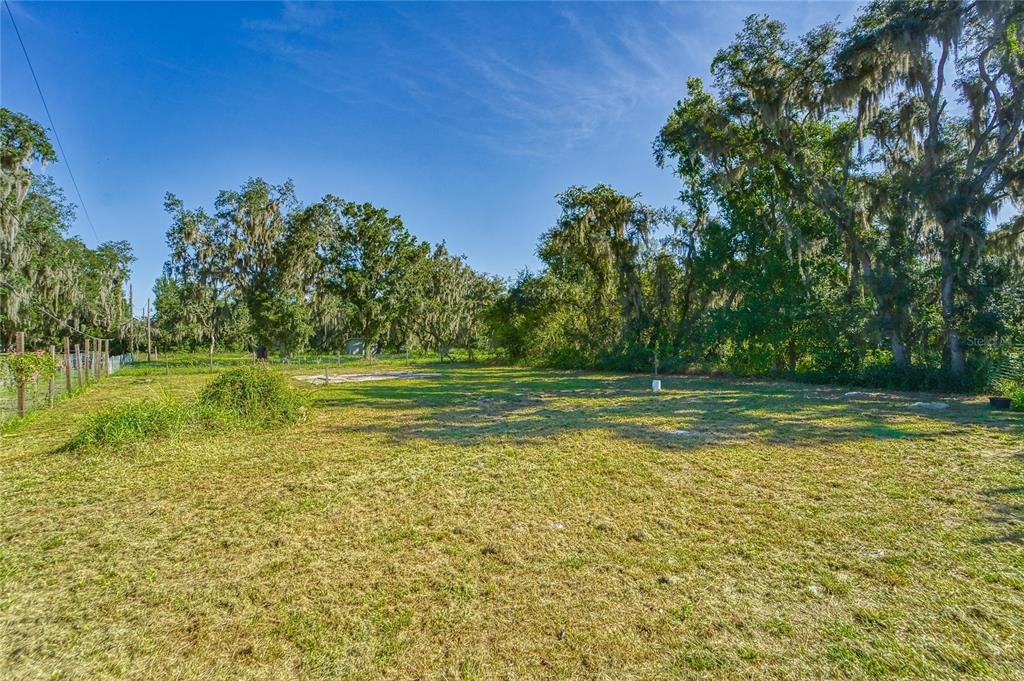 3533 JORDAN ROAD, DOVER, FL — photo 4 of 30