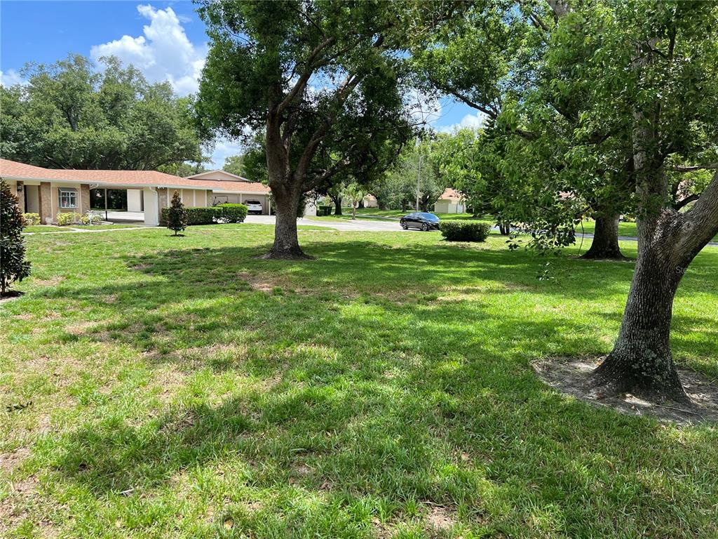 A grassy yard with several large trees and a residential building in the background — 2297 LARK CIRCLE E UNIT C, PALM HARBOR, FL