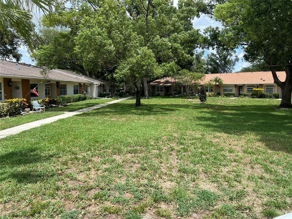 A grassy courtyard sits between two single-story residential buildings with tan siding and shingled roofs — 2297 LARK CIRCLE E UNIT C, PALM HARBOR, FL
