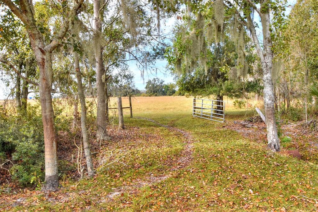 A metal gate opens from a wooded area into a large, open grassy field — COLDING LOOP, WIMAUMA, FL