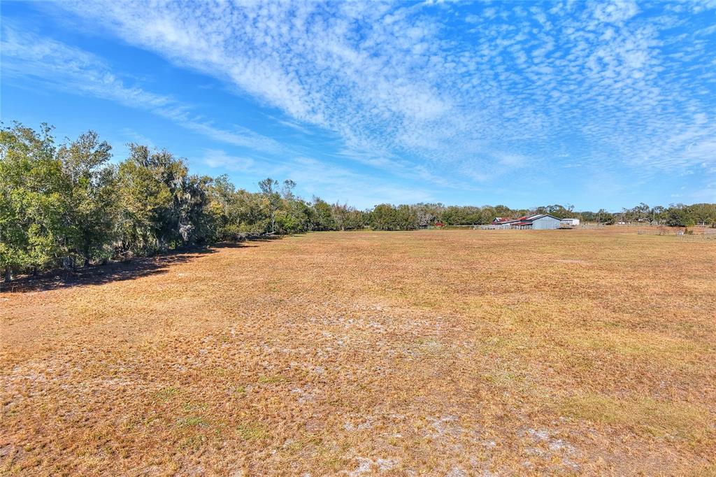 A wide, grassy field stretches toward a line of trees and a distant metal barn — COLDING LOOP, WIMAUMA, FL