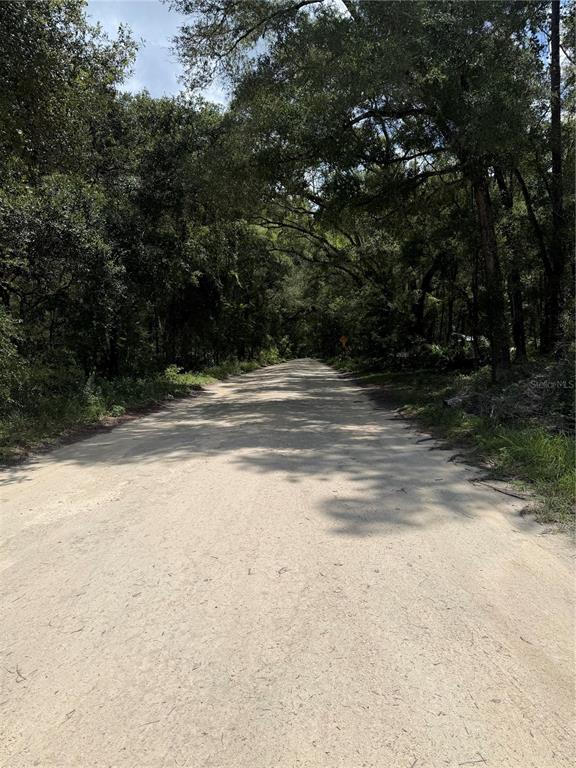 A dirt road winds through a dense, tree-lined forest — TBD SW 170TH STREET, ARCHER, FL