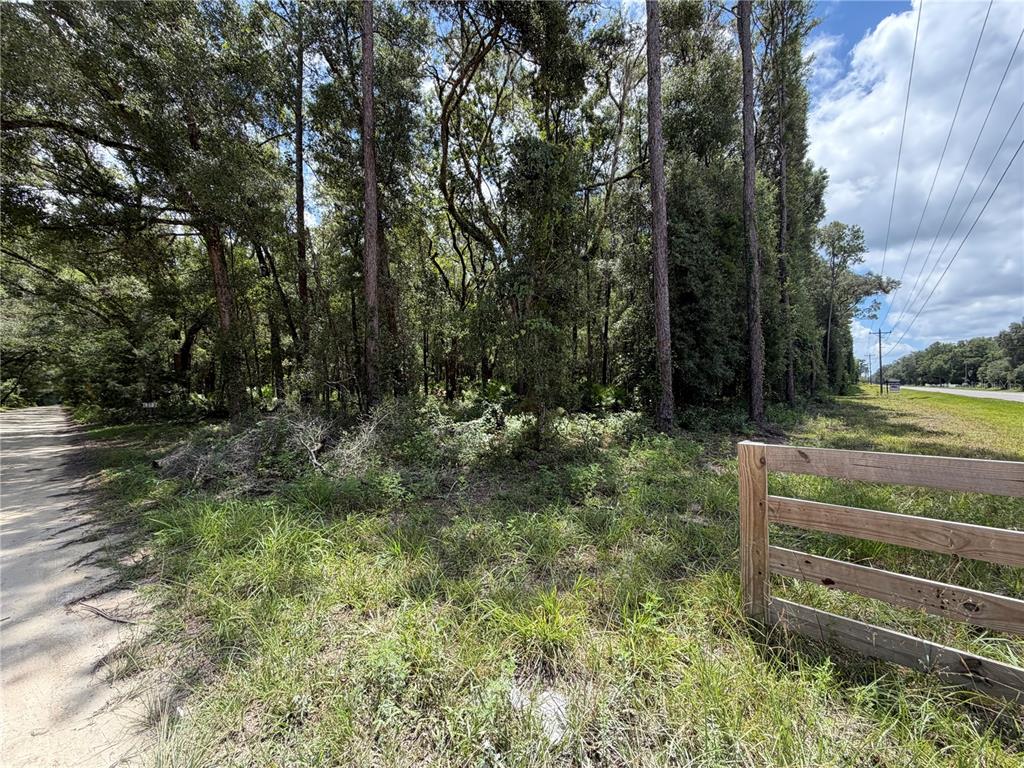 A wooded lot sits beside a dirt road with a wooden fence in the foreground — TBD SW 170TH STREET, ARCHER, FL