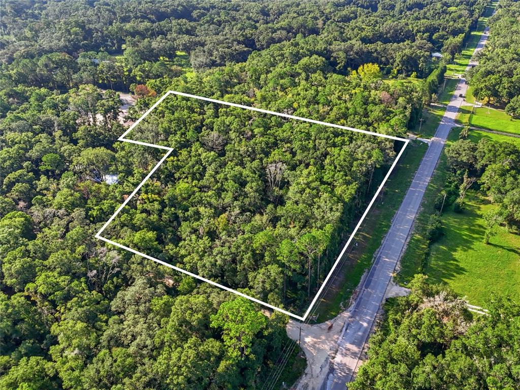 An aerial view shows a wooded, irregularly shaped plot of land bordering a paved road — TBD SW 170TH STREET, ARCHER, FL