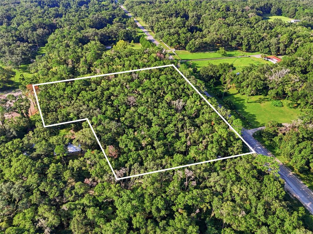 An aerial view shows a wooded lot outlined in white situated next to a road — TBD SW 170TH STREET, ARCHER, FL