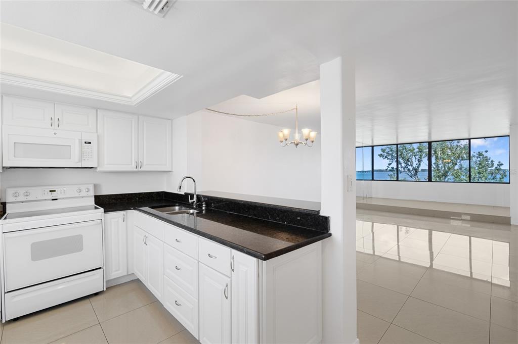 2617 COVE CAY DRIVE UNIT 604, CLEARWATER, FL — photo 4 of 43